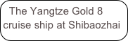 The Yangtze Gold 8 cruise ship at Shibaozhai