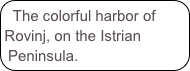 The colorful harbor of Rovinj, on the Istrian Peninsula.